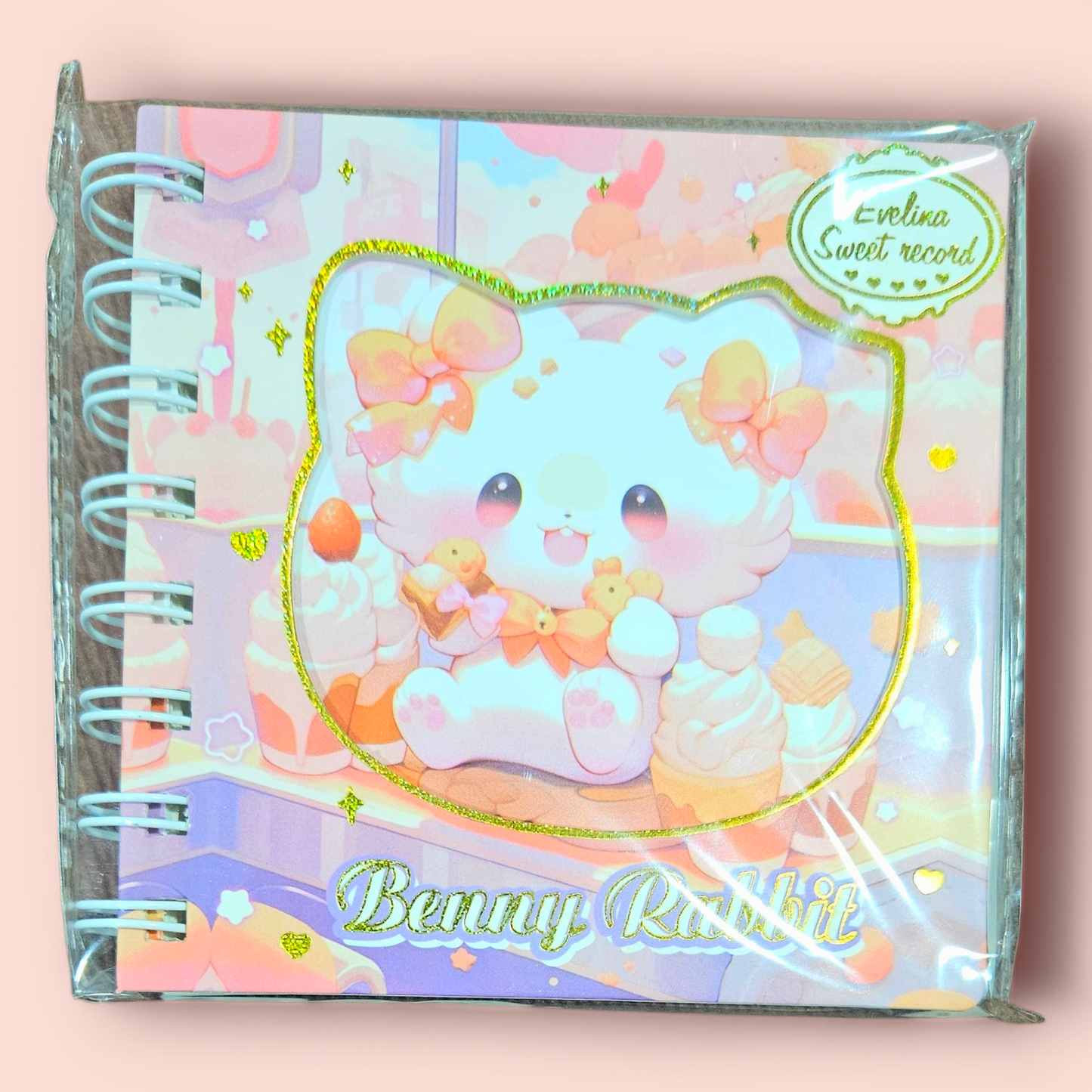 Fancy Note Book Journal B6 Bunny Rabbit Single Piece