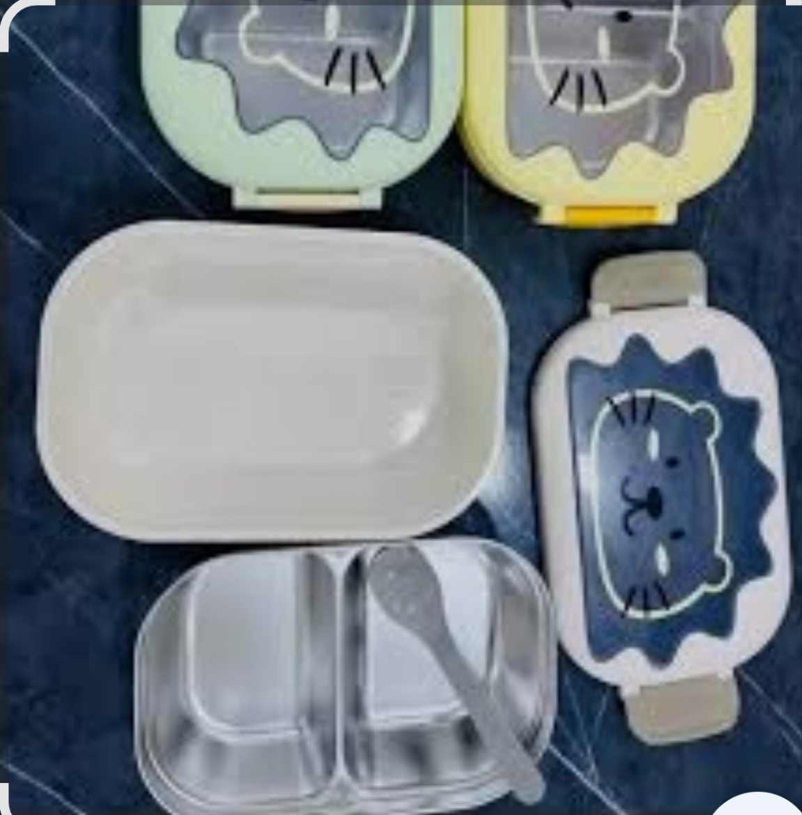 Stainless steel lunchbox