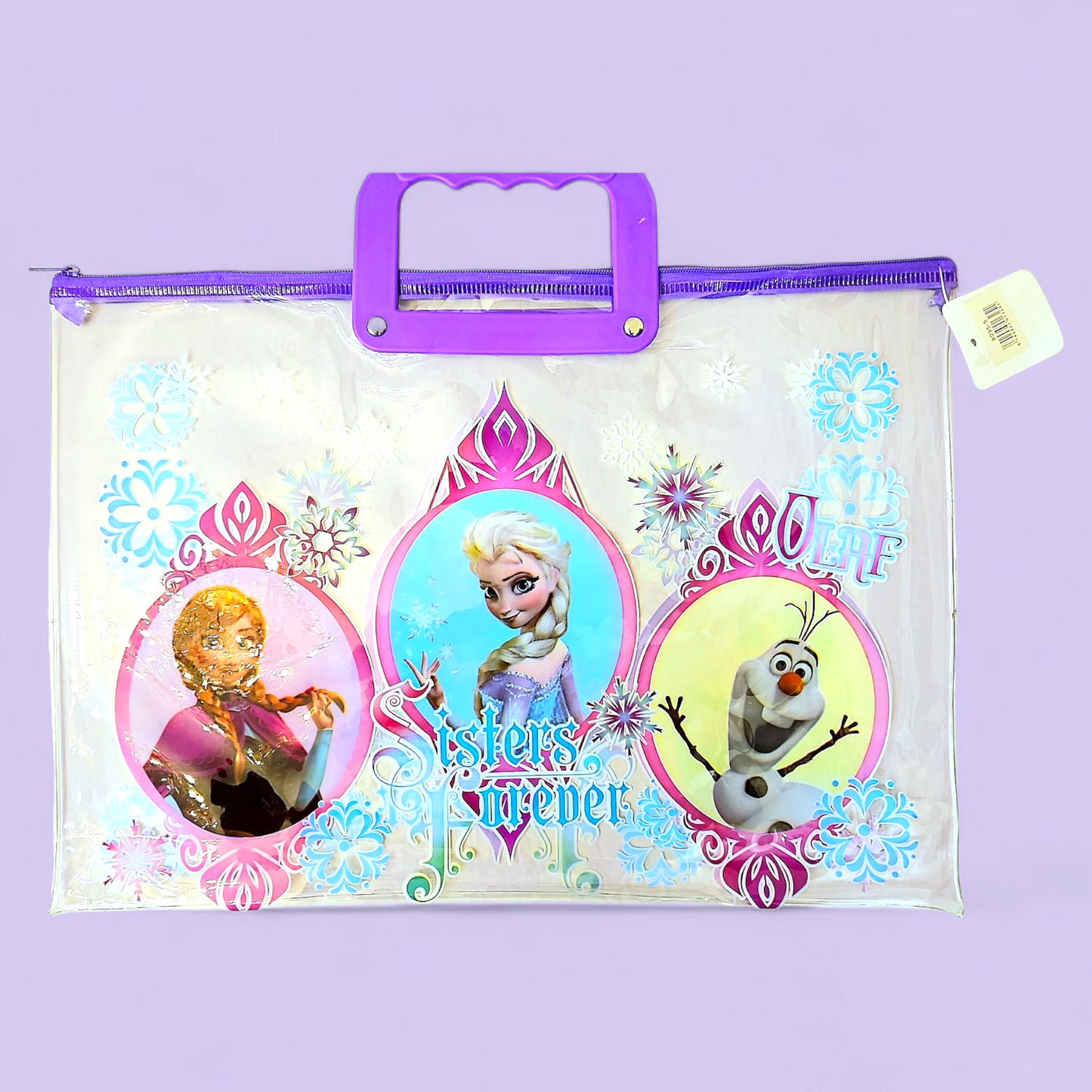Frozen folder bag with handles