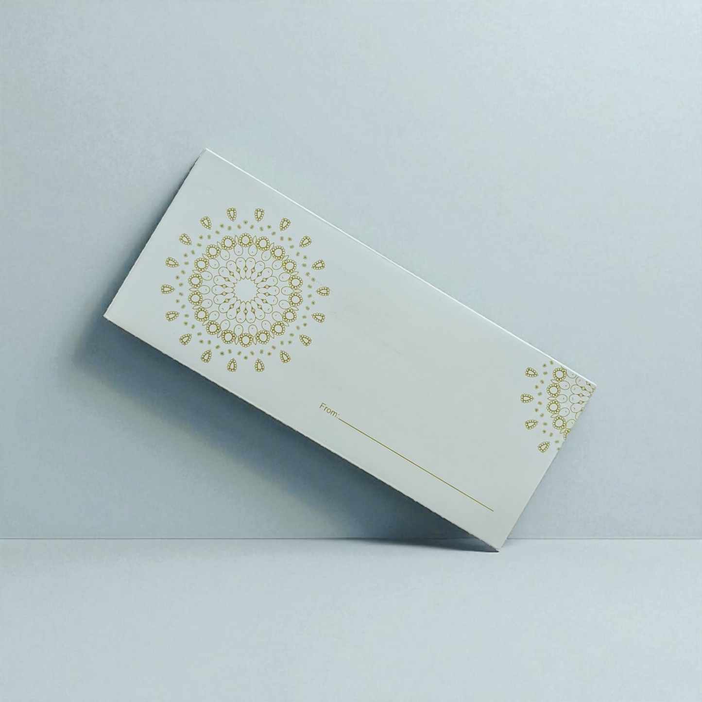 Money envelopes pack of 6