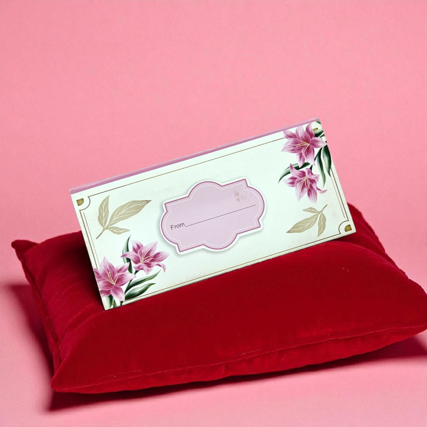 Money envelopes pack of 6