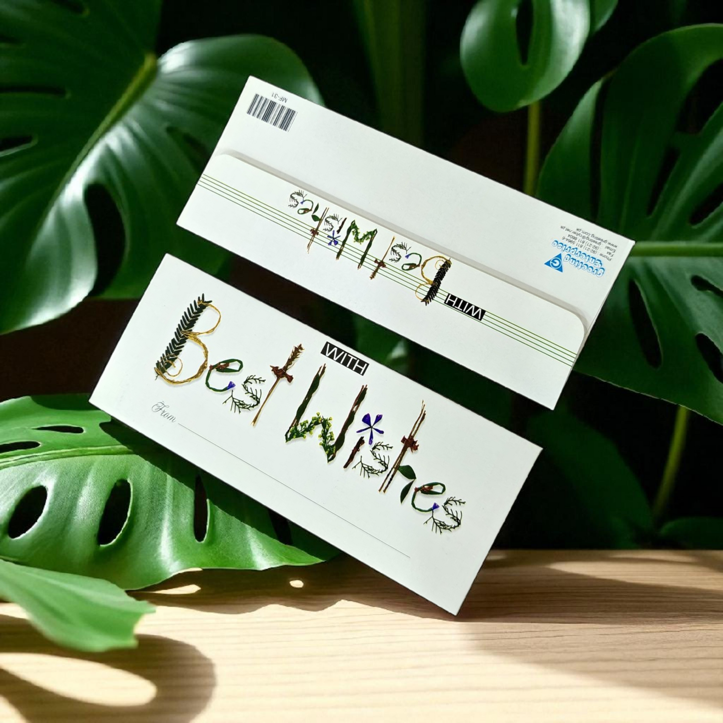 Money envelopes pack of 6
