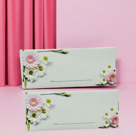 Money envelopes pack of 6
