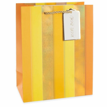 Luxe foil Stripe Gift Bags  (FSBS) (FSBM)