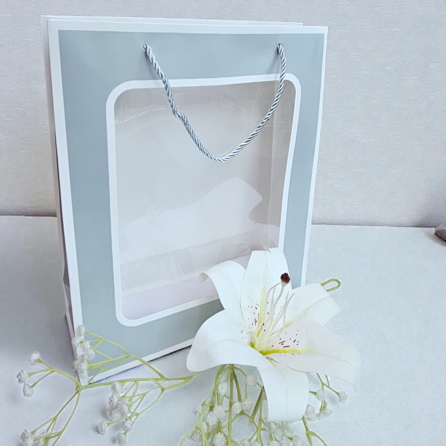 Transparent Window Goodie Bag 13x10 inches