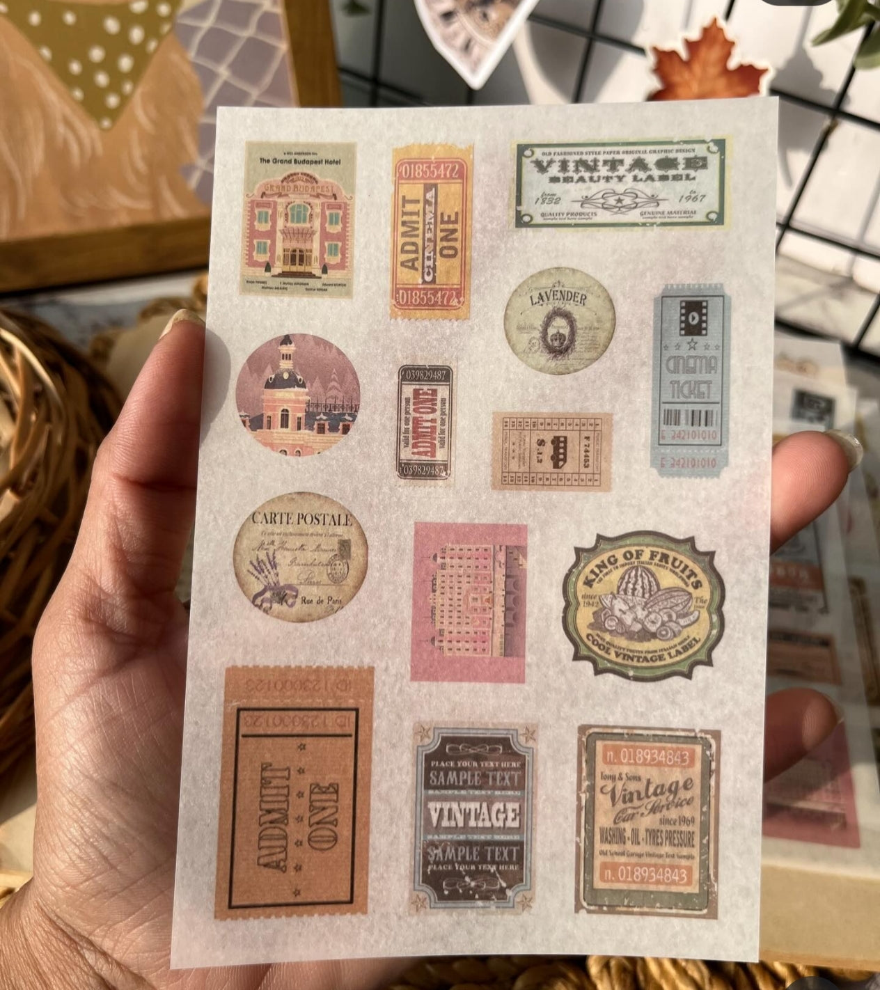 Star Trail Garden 6 pcs sticker sheets for journalling and art (ZJWD)