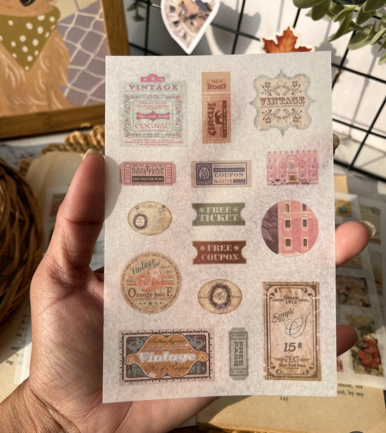 Star Trail Garden 6 pcs sticker sheets for journalling and art (ZJWD)