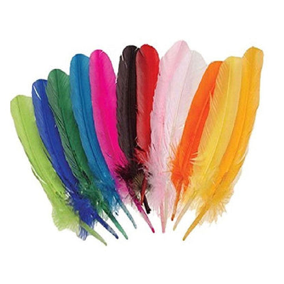 Bright colored feathers (8 to 10)