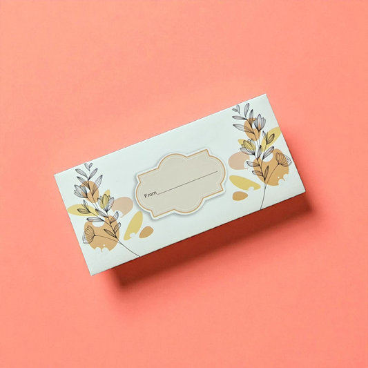 Money envelopes pack of 6