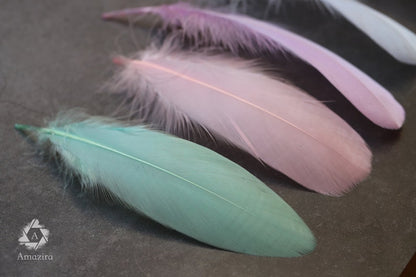 Pastel colors feathers (8 to 10)