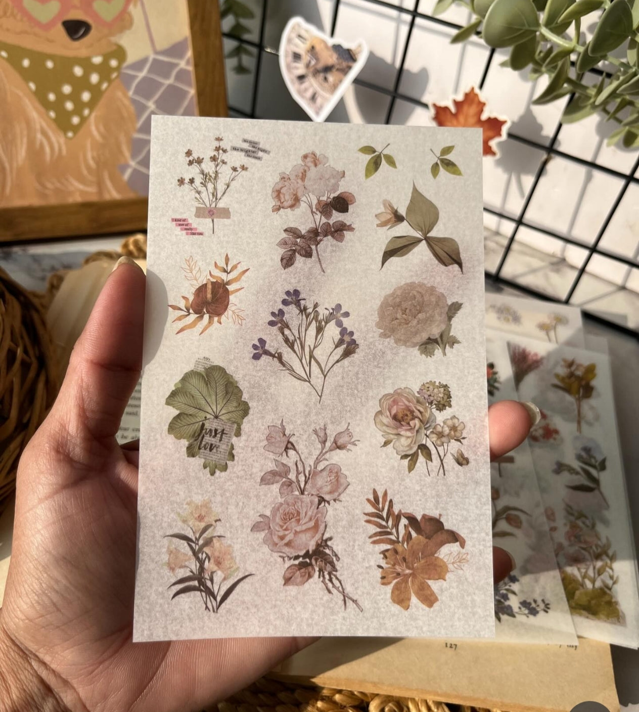 Flower Wind Time sticker sheets 6 (ZJWD)