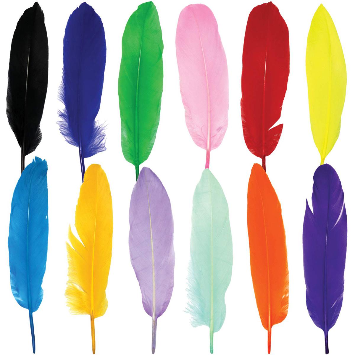 Bright colored feathers (8 to 10)