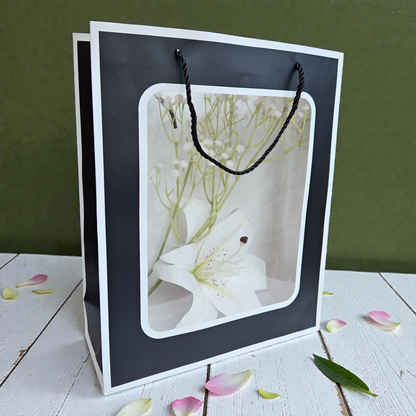 Transparent Window Goodie Bag 13x10 inches