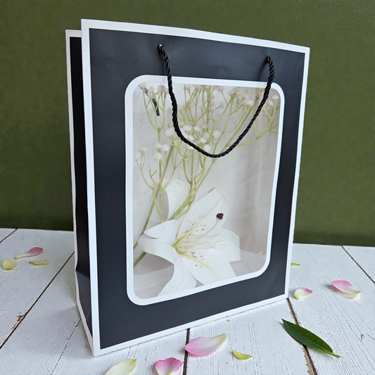 Transparent Window Goodie Bag 13x10 inches