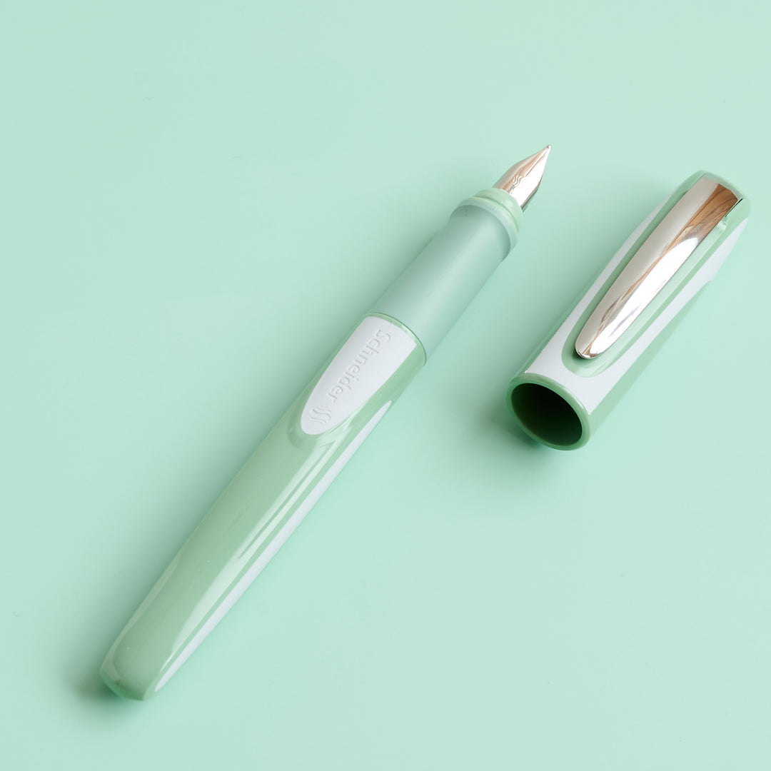 Schneider Fountain Pen Ray (Germany)