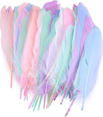 Pastel colors feathers (8 to 10)