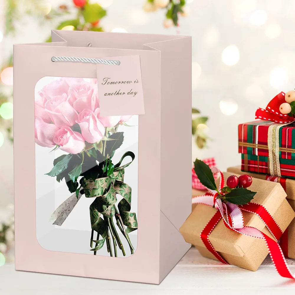 Transparent windowed gift bags