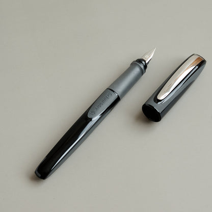 Schneider Fountain Pen Ray (Germany)
