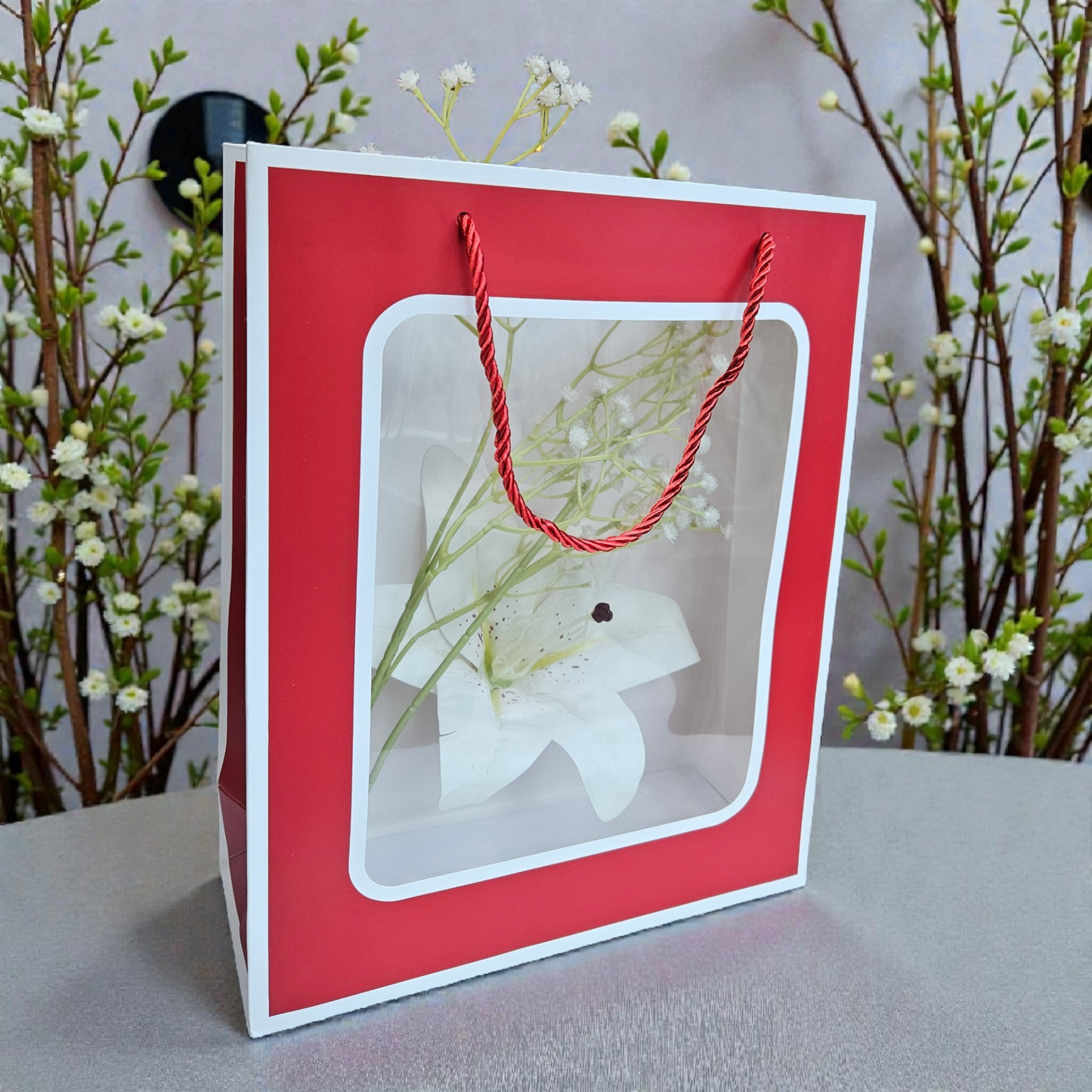 Transparent Window Goodie Bag 13x10 inches