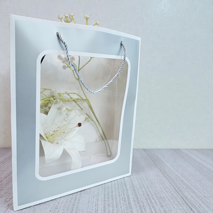 Transparent Window Goodie Bag 13x10 inches