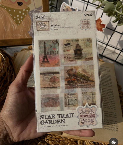 Star Trail Garden 6 pcs sticker sheets for journalling and art (ZJWD)