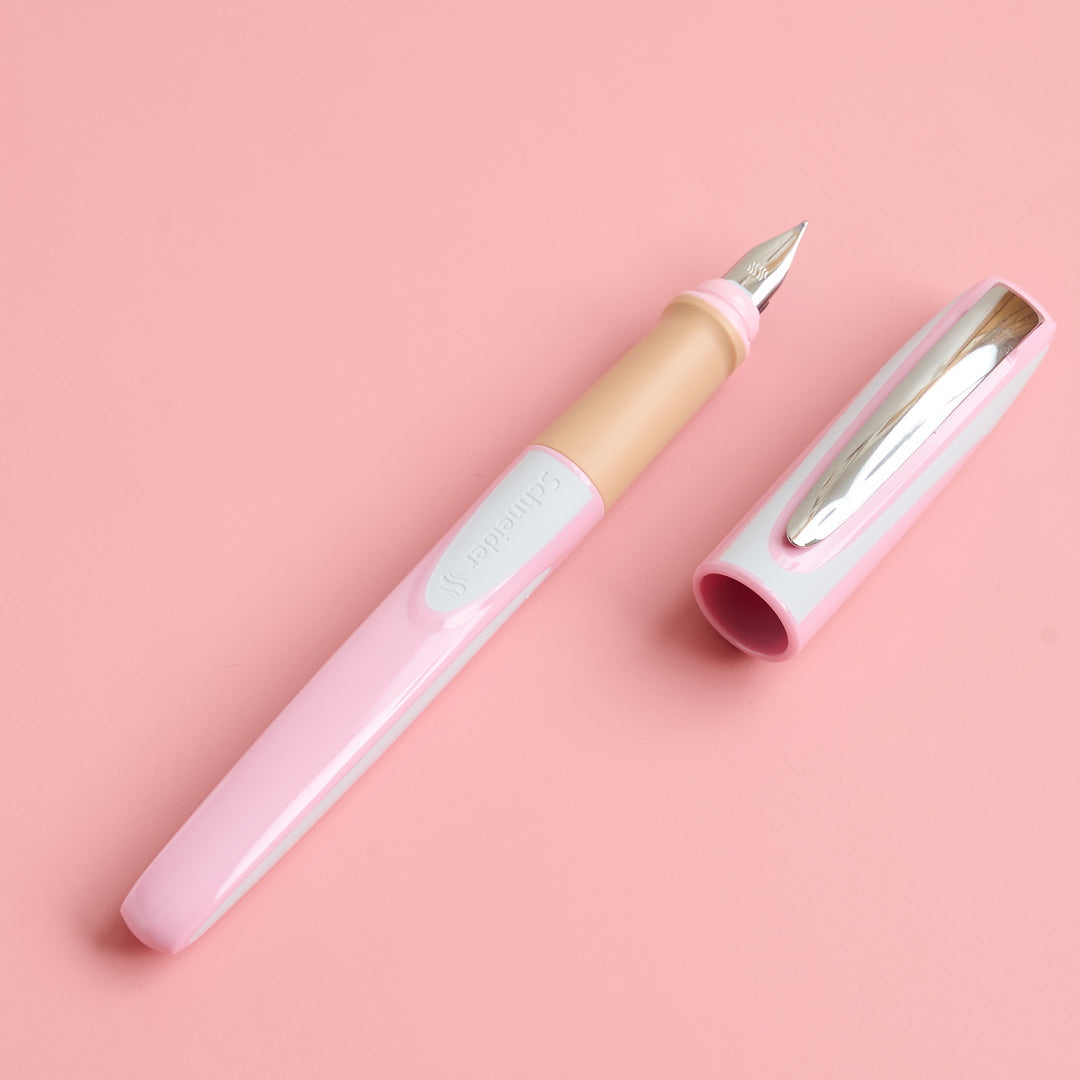 Schneider Fountain Pen Ray (Germany)
