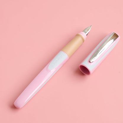 Schneider Fountain Pen Ray (Germany)