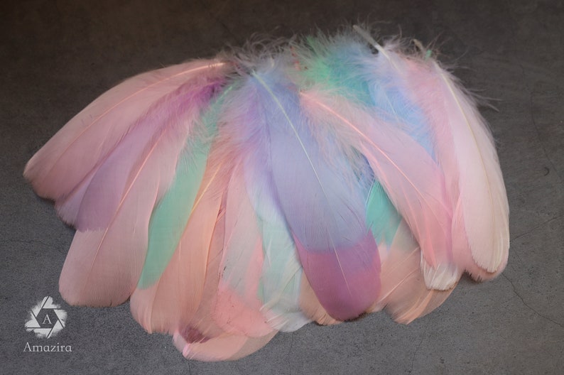 Pastel colors feathers (8 to 10)