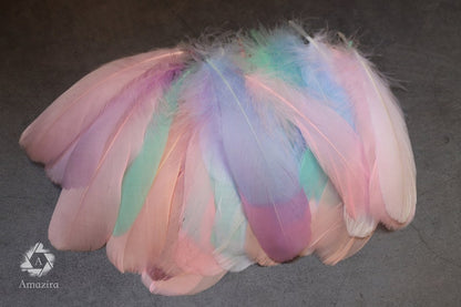Pastel colors feathers (8 to 10)