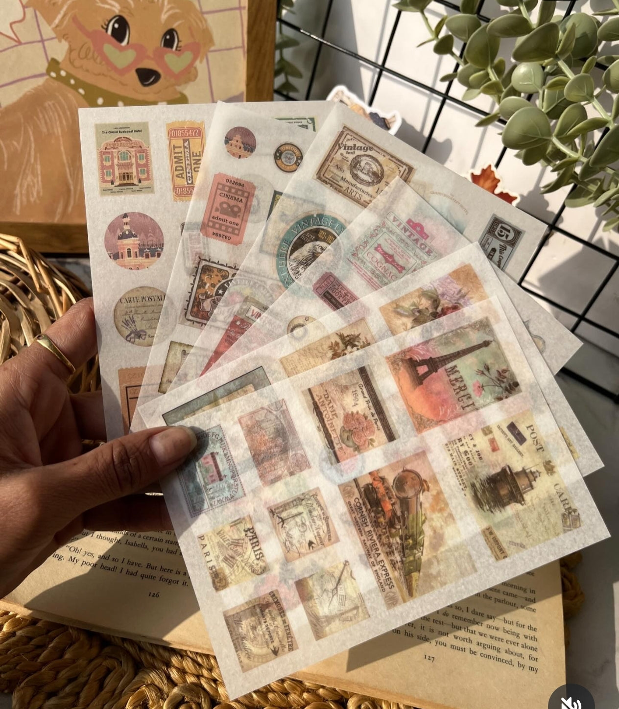 Star Trail Garden 6 pcs sticker sheets for journalling and art (ZJWD)