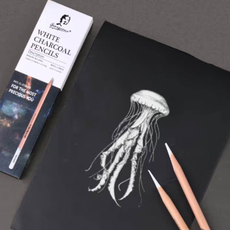 Giorgione white charcoal 6 pencils set
