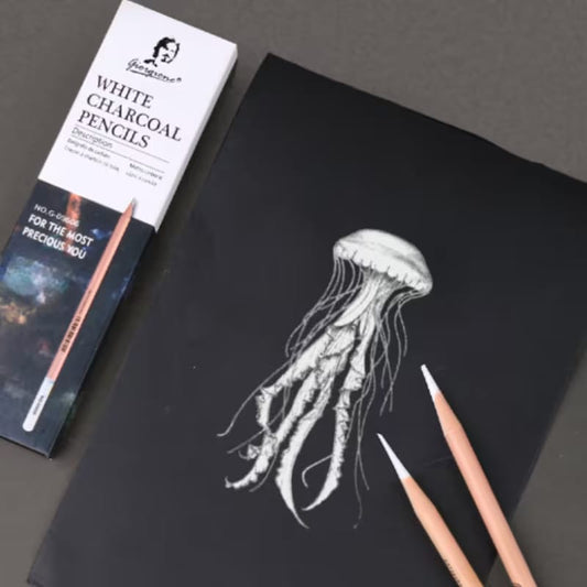 Giorgione white charcoal 6 pencils set
