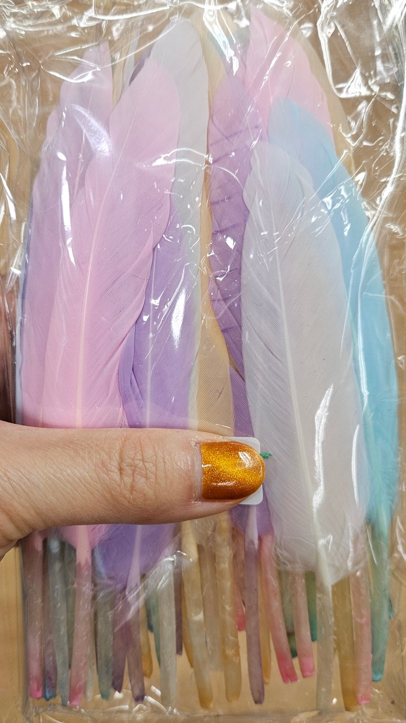 Pastel colors feathers (8 to 10)