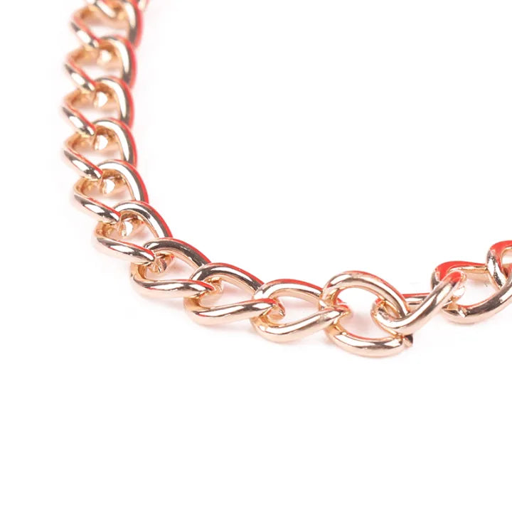 Multipurpose Gift bags / flower gift box with golden chain (removable flower stand from inside)