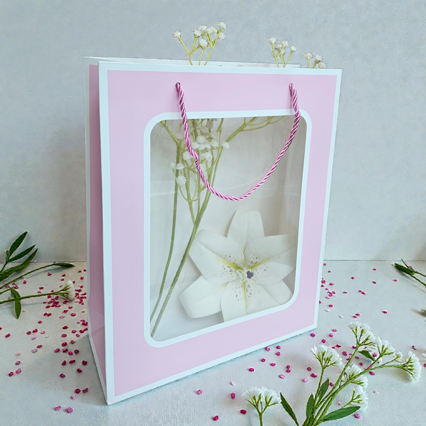 Transparent Window Goodie Bag 13x10 inches