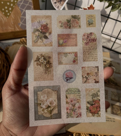 Star Trail Garden 6 pcs sticker sheets for journalling and art (ZJWD)