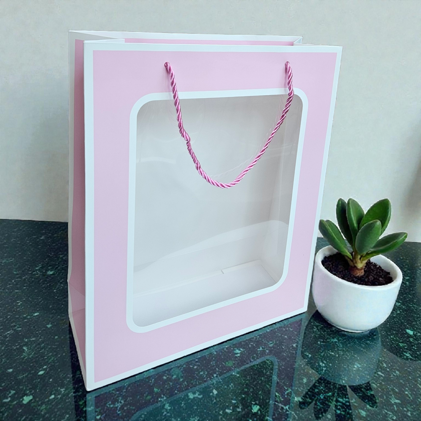 Transparent Window Goodie Bag 13x10 inches